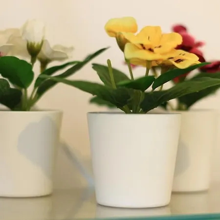 Apartment Miejskie Mieszkanie *